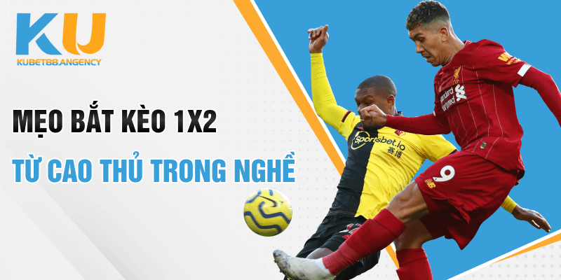 Mẹo bắt kèo 1x2 từ cao thủ trong nghề
