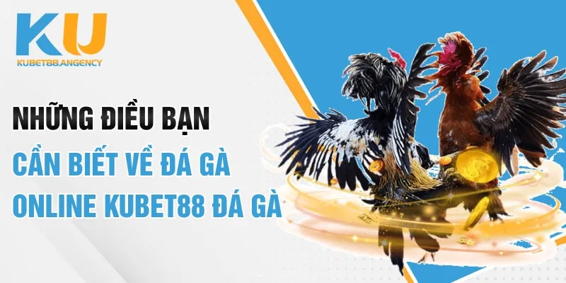 Những Điều Bạn Cần Biết Về Đá Gà Online Kubet88 Đá Gà
