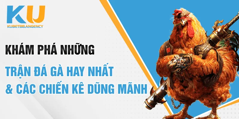 Khám phá những trận đá gà hay nhất & các chiến kê dũng mãnh